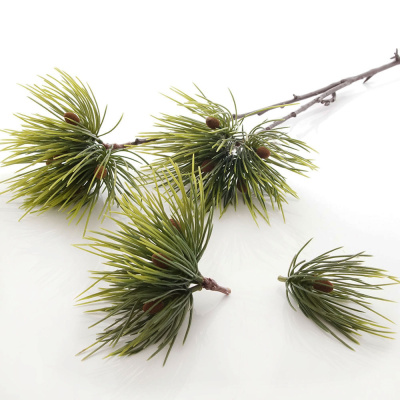 Kiefernzweige groß buschig für Advent und Allerheiligen
