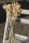 Lagurus natur Hasenschwanzgras ca. 40 g, L 70 cm, natürliche Gräser, Trockenfloristik