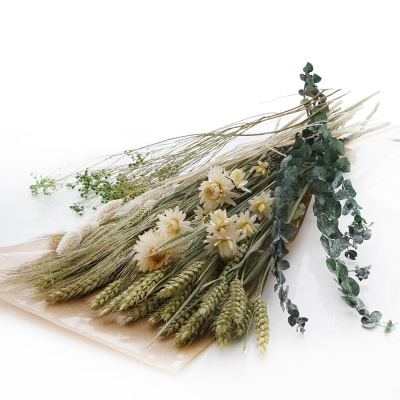 Trockenblumen Blumenbund Mix, mit Eukalyptus, VE 1 Bund L 20 - 30 cm