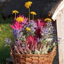 Herbstkorb bepflanzen und dekorieren mit Trockenblumen