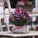 DIY Herbststrauß, Herbstbepflanzung mit Trockenblumen dekorieren