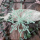 Tannenbaum aus Metall, Metall-Baum mit Streben faltbar H 90 cm B 50 cm,  Adventsdeko