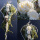Protea Rosette, gebleicht creme weiß, ca D 5 cm mit Stiel, 3 Stück