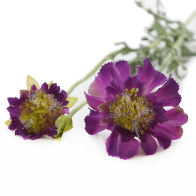 Seidenblume Frühling, Feldblume Scabiosa künstlich, dunkellila L 53cm, 2 Blüten VE 1 Stiel