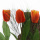 Tulpen Seidenblume VE 1 Stk, gelb orange, Frühlingsdeko