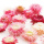 Strohblumenköpfe Trockenblumen Helichrysum natur hell rosa creme VE 20 g, zum Basteln im Landhausstil
