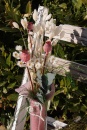 Papaver, Mohn rosa Trockenblumen mit Stiel VE 10 Stk L ca. 30-50 cm