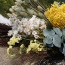 Trockenblumen Rhodanthe natur weiß, Blüten mit Stiel, VE 1 Bund