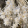 Trockenblumen Hill flower weiß, VE 1 Bund getrocknete Blumen für Hochdzeitsdeko, L ca. 40 cm