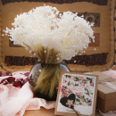 Marcela wei&szlig; Trockenblumen gebleicht, VE 1 Bund, kleine Bl&uuml;ten mit Stiel, L ca. 25 cm