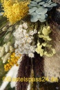 DIY Trockenblumen Mix natur, grün, gelb, braun, weiß, selber machen, dekorieren.