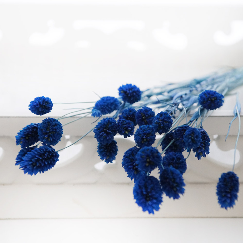 Trockenblumen Maritim blau / dunkelblau Floristik