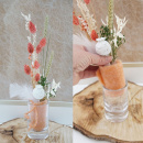 Trockenblumen Phalaris altrosa - lachs, getrocknete Gräser 1 Bund, L ca. 60 cm