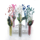 Trockenblumen Phalaris altrosa - lachs, getrocknete Gräser 1 Bund, L ca. 60 cm