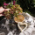 Grabschmuck Kranz mit haltbaren Blumen selbermachen moderne DIY Grabfloristik