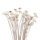 Botao Trockenblumen creme weiß Blütenköpfe mit Stiel VE 1 Bund