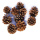 Zapfen Schwarzkiefer 10 St Gr 4 - 8 cm Naturzapfen klein, Advent, Weihnachten