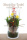 Glasvasen dekorieren mit Blumen und Trockenblumen Frühlingsdeko im Glas