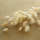 Lagurus creme beige Hasenschwanzgras, L 70 cm, natürliche Gräser, Trockenfloristik