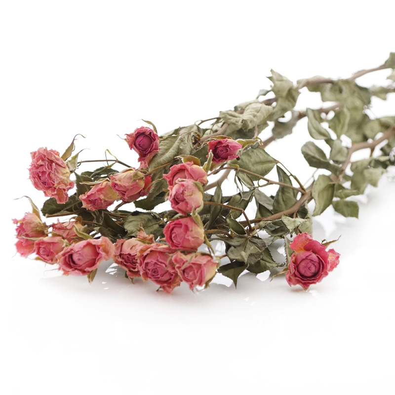 Rosen getrocknet klein rosa 3 Stiele ca. 12 Blüten