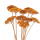 Trockenblumen Achillea, Schafgarbe gelb modern dekorieren, 10 Stk