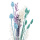 Trockenblumen Phalaris hell petrol, hellblau getrocknete Gräser 1 Bund, L ca. 60 cm