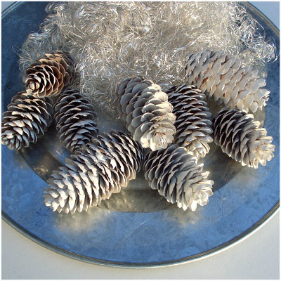 Zapfen Weihnachten Fichte weiß zum Basteln VE 5-7 Stück , ca. 5-8 cm Naturfloristik für Advent
