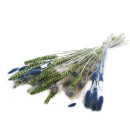 Trockenblumenstrauß mix blau,natur,grün, Set mit getrockneten Blumen 1 Bund
