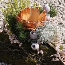 DIY Pflanzherz mit Protea und Trockenblumen,...