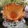 DIY Pflanzherz mit Protea und Trockenblumen, Allerheiligengesteck selbermachen