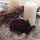 Filzrosen handgefertigt aus Schurwolle fertig kaufen Gr. ca. 8 cm farbe beere - schwarz VE 1 Stk