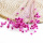 Trockenblumen Glixia große Blüten mit Stiel, L ca. 35 cm, dunkel-pink
