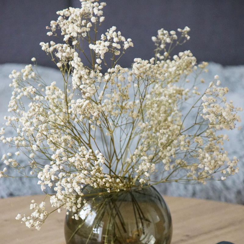 Trockenblumen Hochzeit | Schleierkraut creme weiß 1 Bund