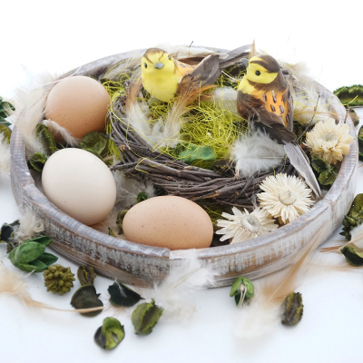 Osternest mit Vögel und Eier als tischdekoration im Frühling