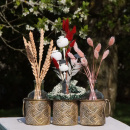 Tischdeko Glasvasen 3er Set mit Ornamentbehälter und getrocknete Blumen für moderne Tischdeko