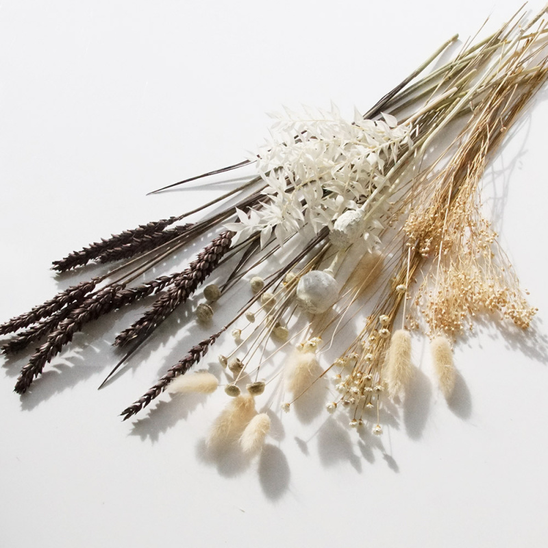 Trockenblumenmix natur, braun, gebleicht | Bohostyle