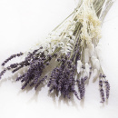 Trockenblumenmix im Set blau, weiss, 4 Sorten VE 1 Bund
