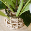 Glasvase Windlicht mit Holzspan dekoriert Boho Gr 8x8 cm rund