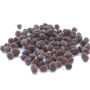 Zapfen klein Minizapfen, kleine Naturzapfen zum Basteln...
