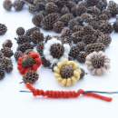 Zapfen klein Minizapfen, kleine Naturzapfen zum Basteln 1,5 bis 2,5 cm