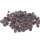 Zapfen klein Minizapfen, kleine Naturzapfen zum Basteln 1,5 bis 2,5 cm