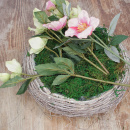 DIY Grabgesteck in Pflanzschale aus Rebe geweißt mit Christrosen, Trockenblumen und Herz