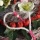 DIY Grabgesteck in Pflanzschale aus Rebe geweißt mit Christrosen, Trockenblumen und Herz