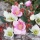 DIY Grabgesteck in Pflanzschale aus Rebe geweißt mit Christrosen, Trockenblumen und Herz
