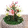 DIY Grabgesteck in Pflanzschale aus Rebe geweißt mit Christrosen, Trockenblumen und Herz