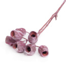 Eukallyptus Glockenzweig altrosa frosted, VE 1 Zweig,...