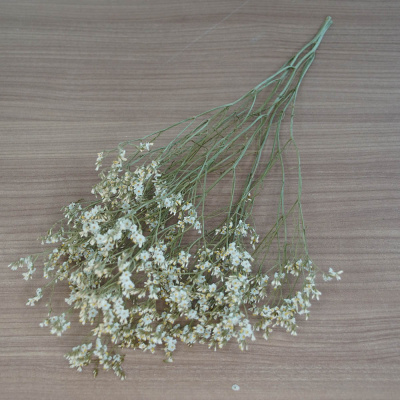 Statice Limonium Strandflieder fein, natur creme weiß, Trockenblume mit kleiner Blüten