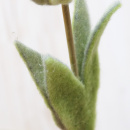 Tulpen Blumen für Frühling aus Wollfilz, Wollband, Fensterdeko