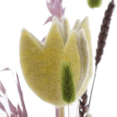 Tulpen Blumen für Frühling aus Wollfilz, Wollband, Fensterdeko