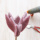 Tulpen Blumen für Frühling aus Wollfilz, Wollband, Fensterdeko